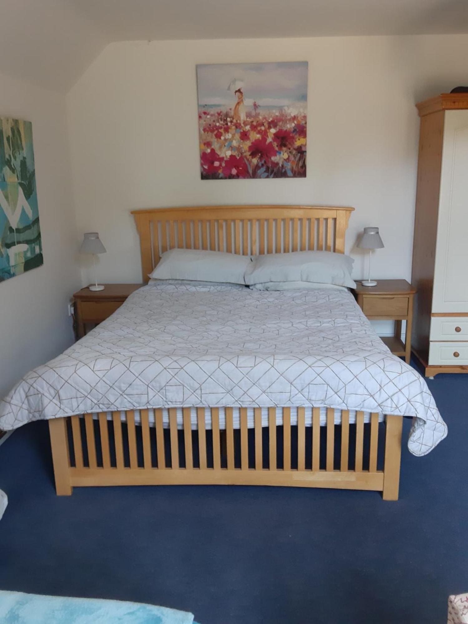 Kyleard Ryan Bed and Breakfast Monasterevin Eksteriør billede
